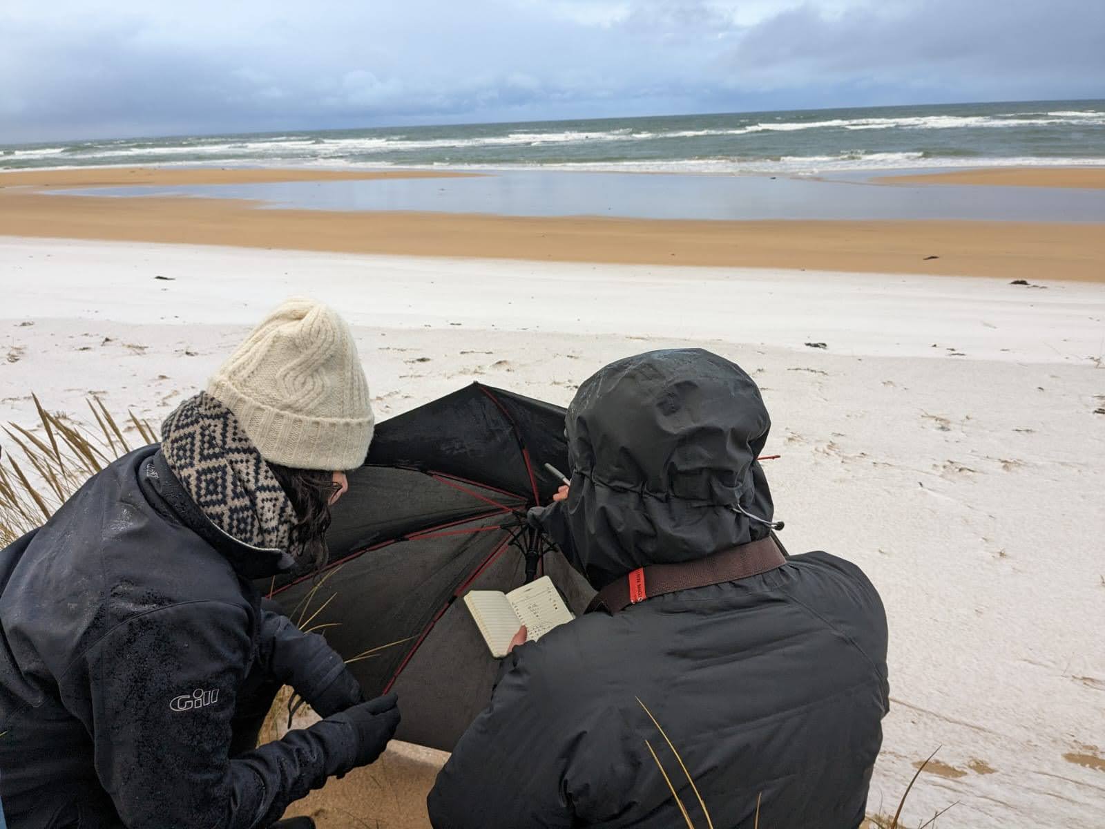 Two researchers conduct a study on the Marramwind coastline.